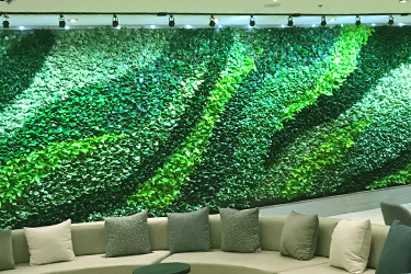 green building architecture - living wall