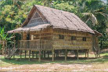 eco sustainable - tatch roof house