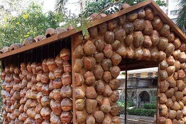 sustainable earth coconut shell house